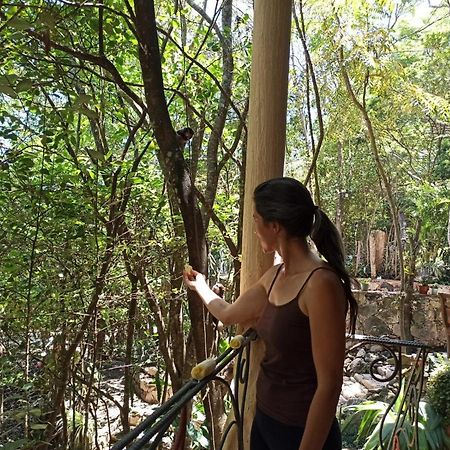 Casa Da Mata Descanso E Sossego Na Natureza Ibicoara Exterior foto