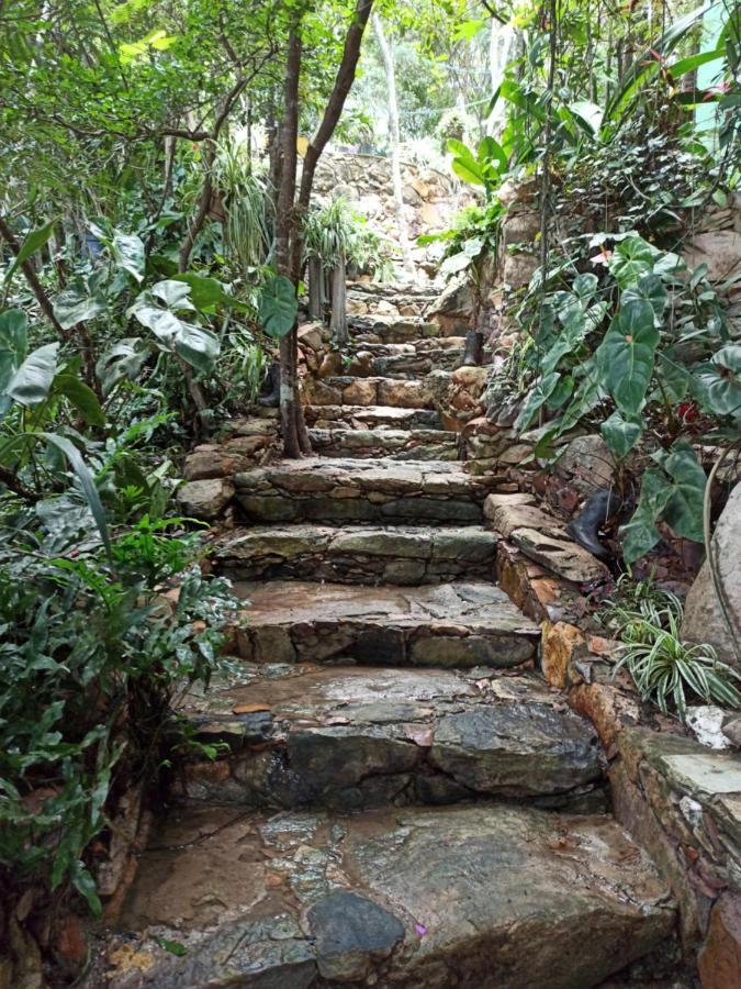 Casa Da Mata Descanso E Sossego Na Natureza Ibicoara Exterior foto