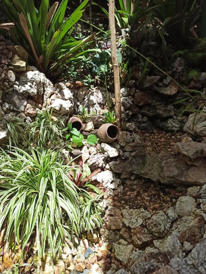 Casa Da Mata Descanso E Sossego Na Natureza Ibicoara Exterior foto
