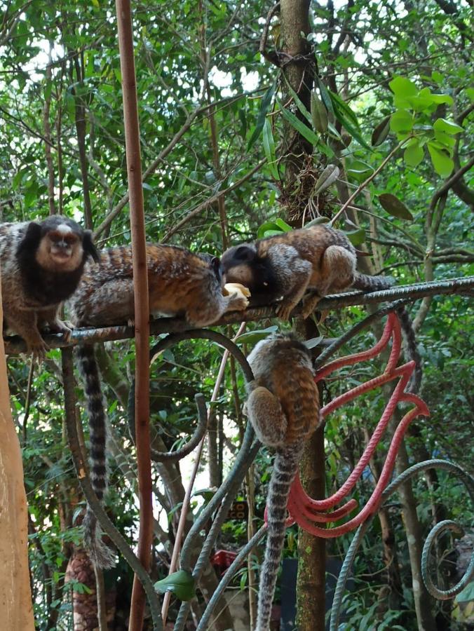 Casa Da Mata Descanso E Sossego Na Natureza Ibicoara Exterior foto